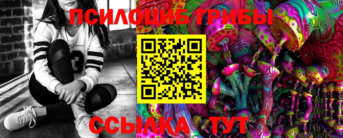 Светлоград  Галлюциногенные грибы прущие грибы  Вход с VPN 